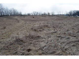 Property photo 11 - 127 Acres Offered in 8 Tracts - Allen & Dekalb County Land